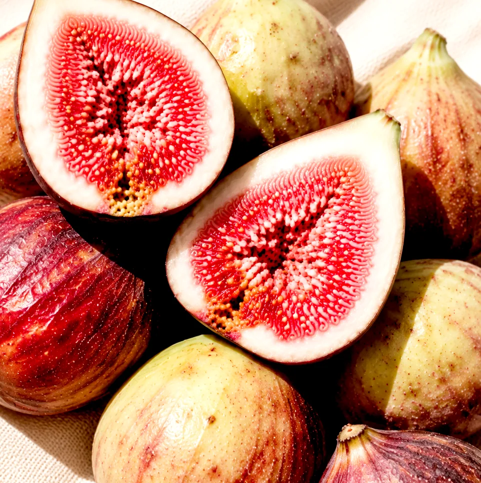 Ripe figs growing on the branch in Ibiza